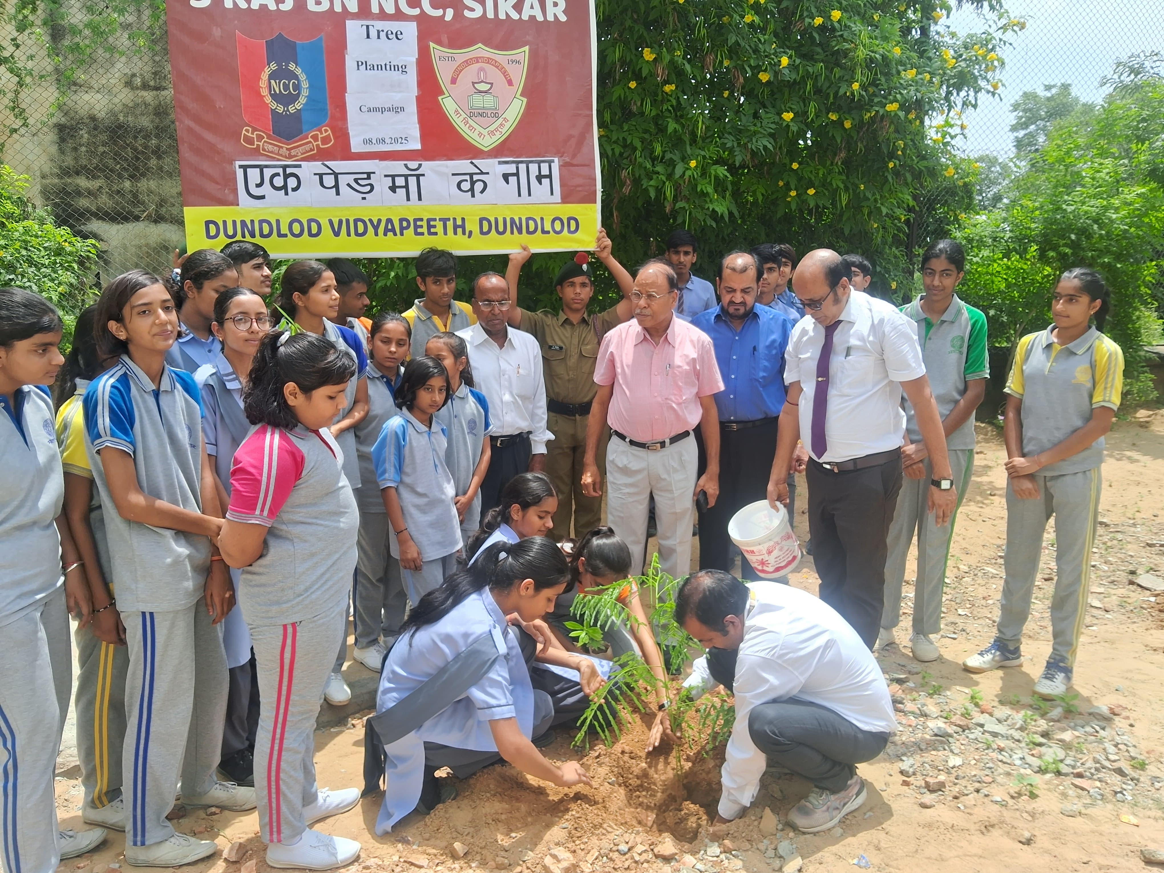 Tree Plantation
